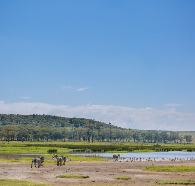 kenya-landscape-lake-nakuru-salt-water-nakuru-city-2026-03-10-02-07-13-utc-1.webp