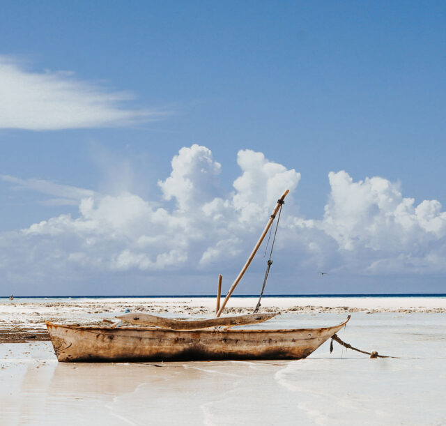 muyuni-beach-zanzibar-island-tanzania-2026-01-06-09-35-10-utc